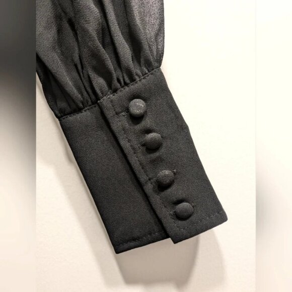 Black Long Sleeve Sheer Chiffon Dress - Picture 5 of 8